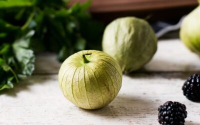 What are tomatillos?
