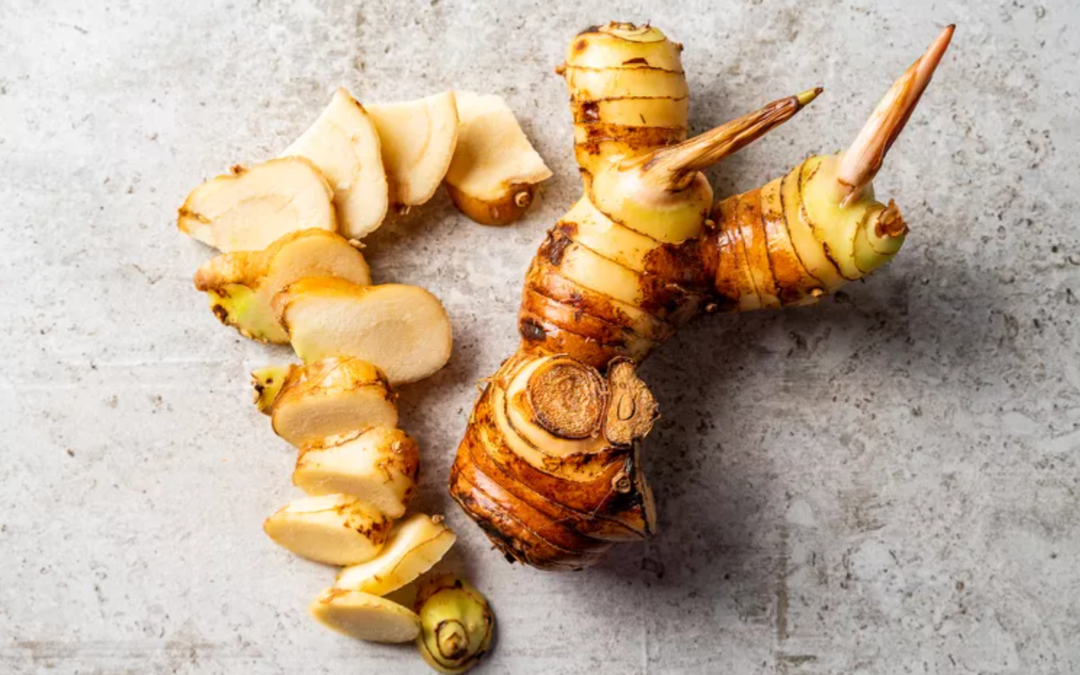 What is galangal?