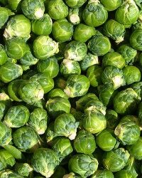 Crunchy Sweet Brussels Sprout Salad