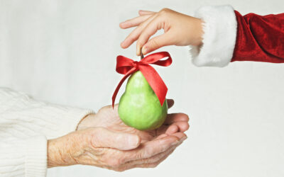 Get your HIP Holiday cards