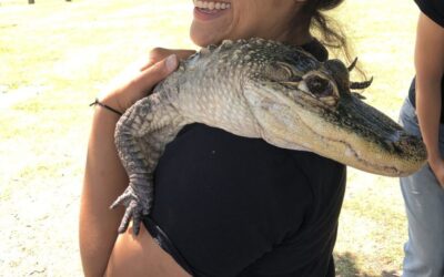 My Lake City Adventures